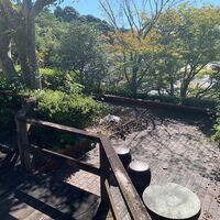 画像1429