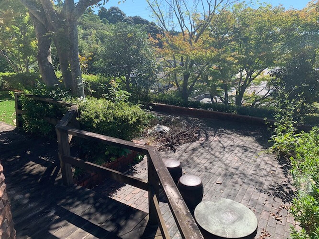 画像1429